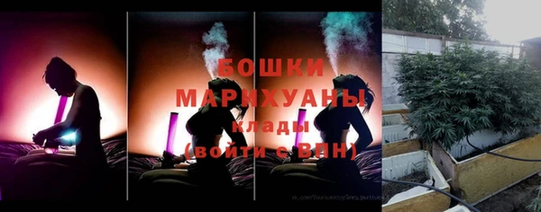 индика Кущёвская