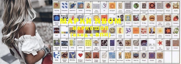 индика Кущёвская