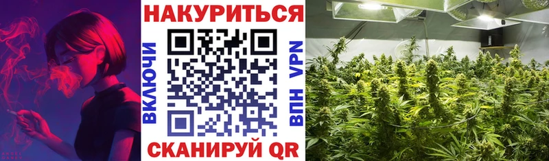 Купить  Прохладный  МАРИХУАНА THC 21% 